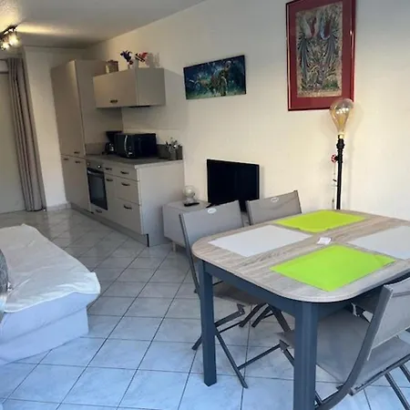 Agreable T2 Rdc Avec Parking Et Piscine Au Cap D'agde - Fr-1-749-82 Agde